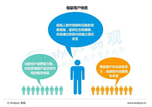 2016年中國互聯網母嬰市場內容營銷與互聯網銷售專題分析